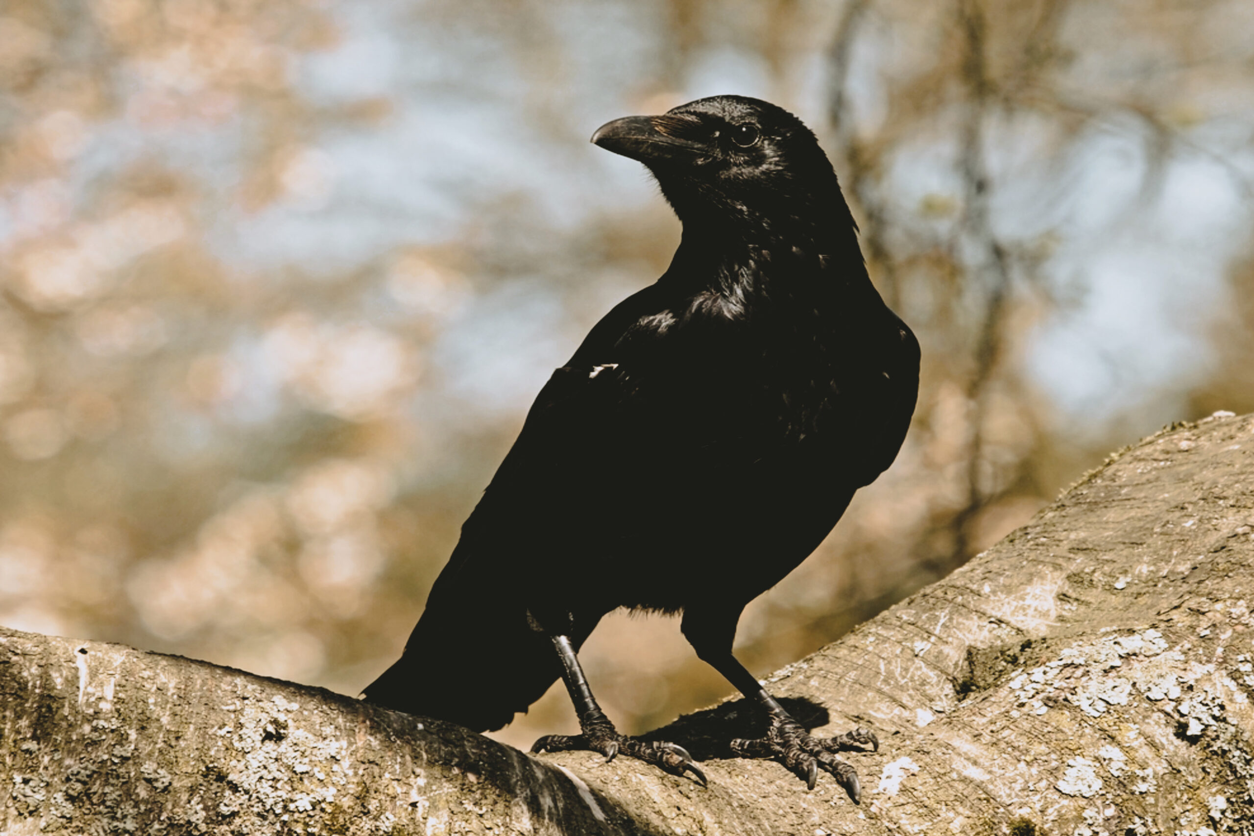 46578680-D7C9-40B2-AF48-3216EDB34C7A